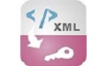 xml to access