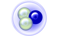 dc++