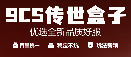 9cs传世