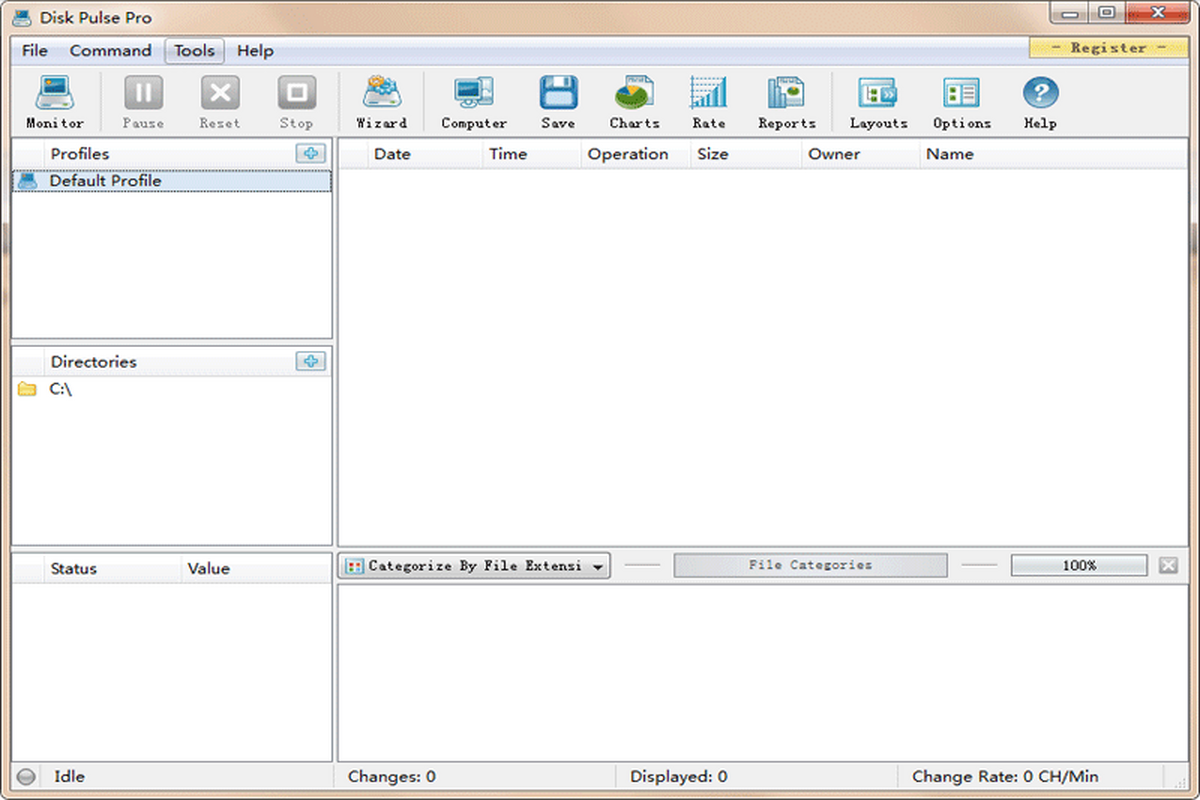 disk pulse pro