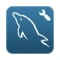MySQL Workbench