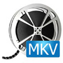 MKV到WMV转换器