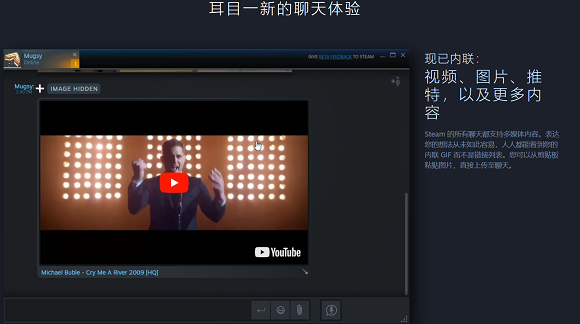 steam电脑版
