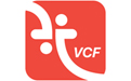 金舟vcf转换器