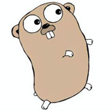 golang64位