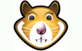 xhamster video downloader
