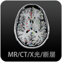 影像解剖图谱32位