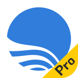 Bigemap Pro