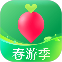 叮咚买菜
